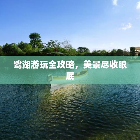 鹭湖游玩全攻略，美景尽收眼底