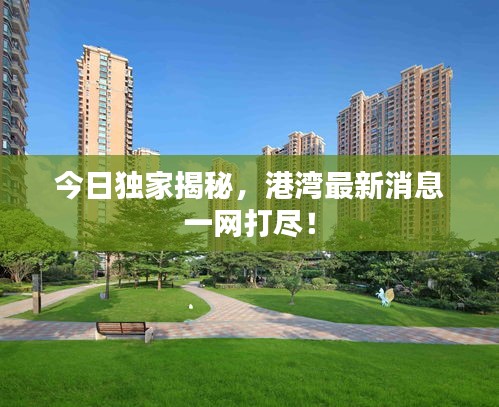 今日独家揭秘，港湾最新消息一网打尽！