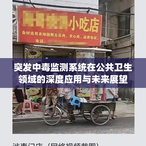 突发中毒监测系统在公共卫生领域的深度应用与未来展望