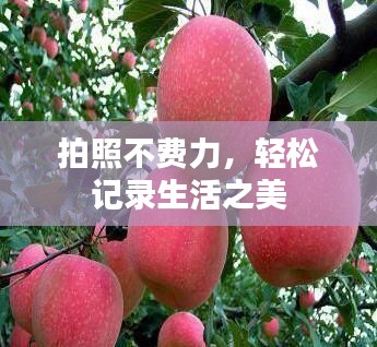 拍照不费力，轻松记录生活之美