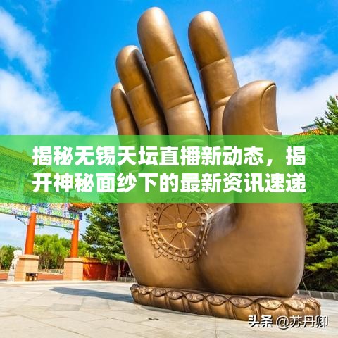 揭秘无锡天坛直播新动态，揭开神秘面纱下的最新资讯速递