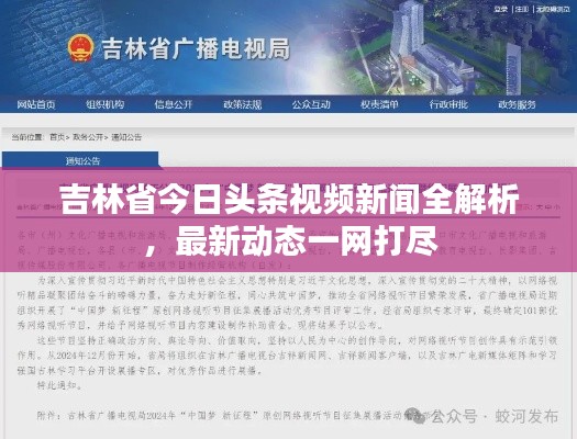吉林省今日头条视频新闻全解析，最新动态一网打尽