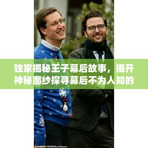 独家揭秘王子幕后故事，揭开神秘面纱探寻幕后不为人知的秘密