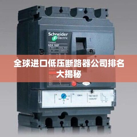 全球进口低压断路器公司排名大揭秘