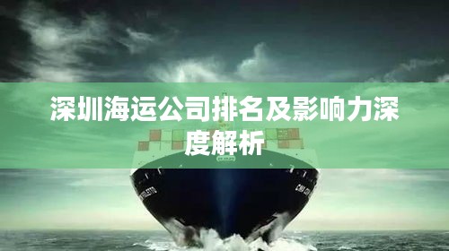 深圳海运公司排名及影响力深度解析