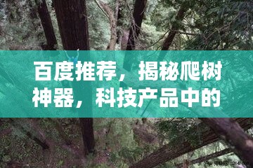 百度推荐，揭秘爬树神器，科技产品中的神奇探索