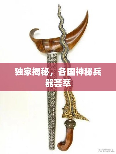 2025年5月24日