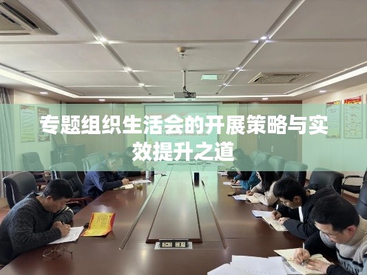 专题组织生活会的开展策略与实效提升之道