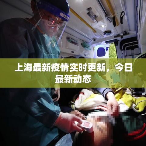 上海最新疫情实时更新，今日最新动态