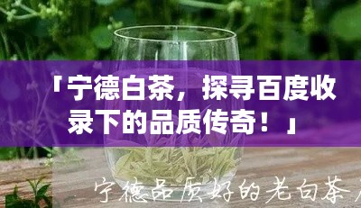「宁德白茶，探寻百度收录下的品质传奇！」