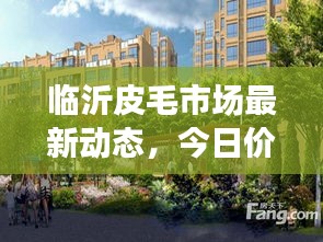 临沂皮毛市场最新动态，今日价格走势、影响因素一网打尽！