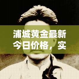 浦城黄金最新今日价格，实时更新查询