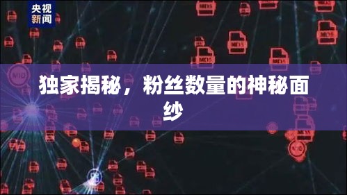 独家揭秘，粉丝数量的神秘面纱