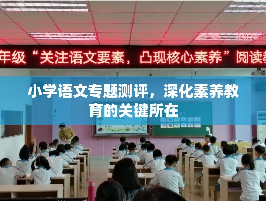 小学语文专题测评，深化素养教育的关键所在