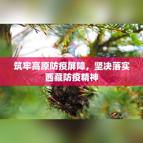 筑牢高原防疫屏障，坚决落实西藏防疫精神