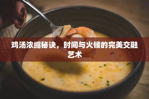 鸡汤浓缩秘诀，时间与火候的完美交融艺术