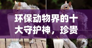 环保动物界的十大守护神，珍贵生态守护者的荣耀排名