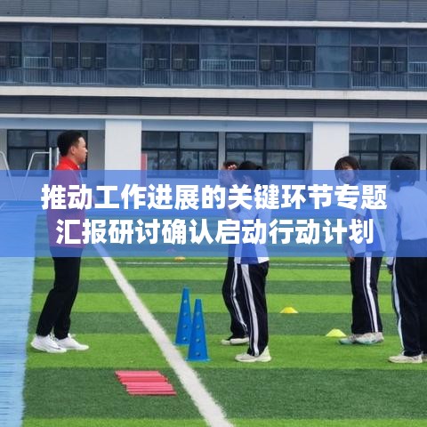 推动工作进展的关键环节专题汇报研讨确认启动行动计划