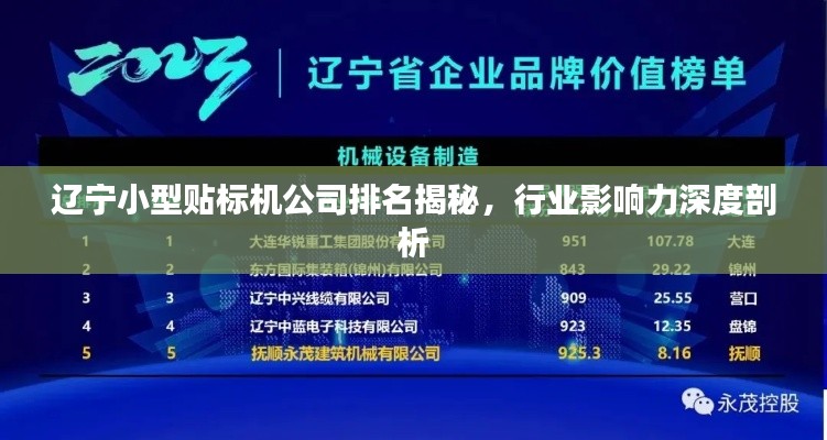 辽宁小型贴标机公司排名揭秘，行业影响力深度剖析