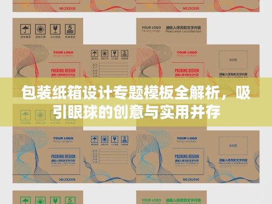 包装纸箱设计专题模板全解析，吸引眼球的创意与实用并存