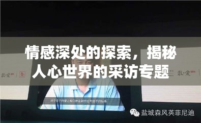 情感深处的探索，揭秘人心世界的采访专题