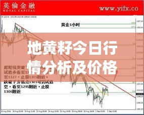 地黄籽今日行情分析及价格走势解读