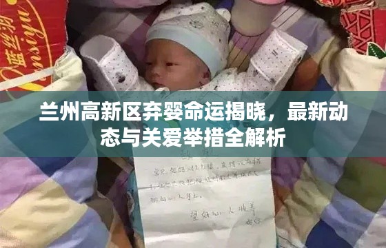 兰州高新区弃婴命运揭晓，最新动态与关爱举措全解析