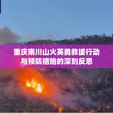 重庆南川山火英勇救援行动与预防措施的深刻反思