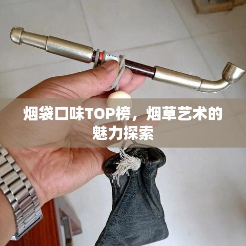 烟袋口味TOP榜，烟草艺术的魅力探索