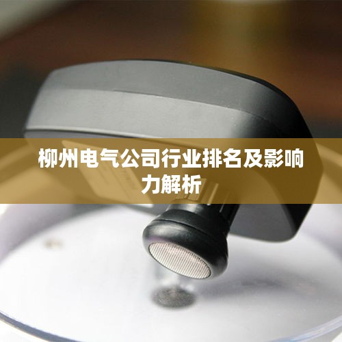 柳州电气公司行业排名及影响力解析