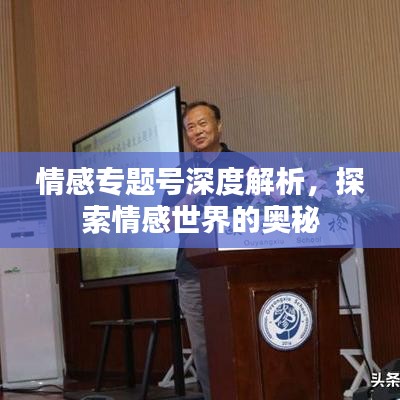 情感专题号深度解析，探索情感世界的奥秘