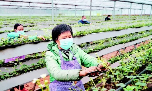 黄瓜视频最新版本,稳定设计解析 T_v7.546