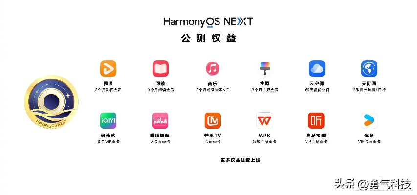 强制版本更新,现状解答解释定义-Harmony款_v3.361