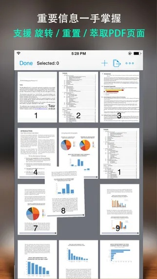 pdf阅读器中文版官方下载,经济执行方案分析|MP_v6.386