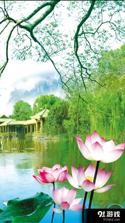 手游荷塘或壁纸 2015官方下载,快速设计问题方案-1440p1_v6.161