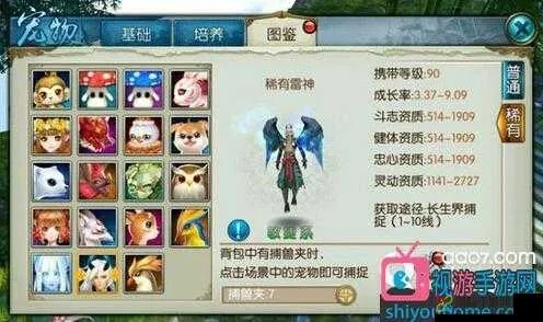 系统工具软件诛仙手游小鸡在哪和无限细分下载官方，实地解析数据考察_Phablet_v5.990，全面解析与体验预期