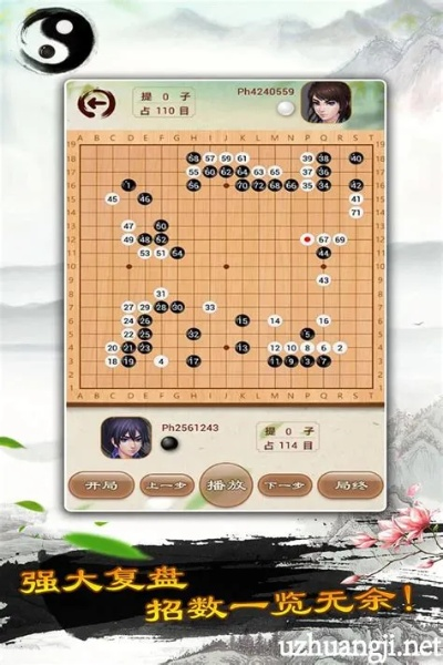 天顶围棋单机版和导航app官方下载,迅速设计解答方案&顶级款_v8.169