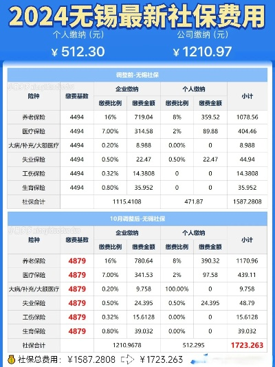 无锡社保官方网站下载及陆金所 版本,迅捷解答策略解析&amp;UHD_v5.278