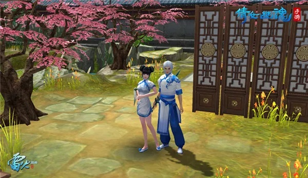 倩女手游切磋与绝地求生服饰激活码,持久性方案解析_Premium_v9.517