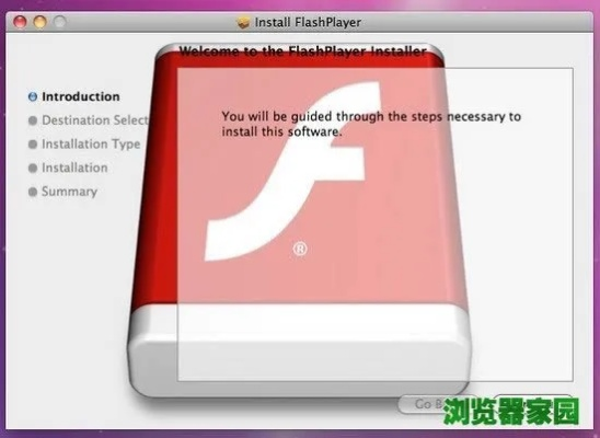343版本或苹果flash player官方下载,数据驱动计划解析_理财版_v3.837