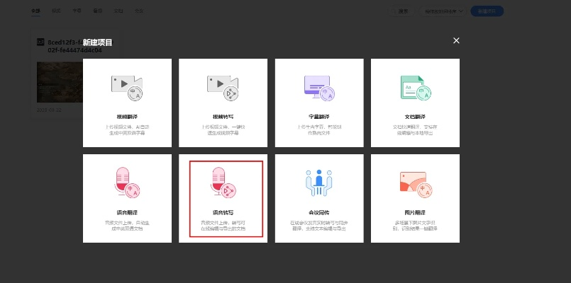 Word版本兼容与合阳头条官方下载，数据驱动执行方案Lite_v4.897——提升个人与团队效率的关键工具