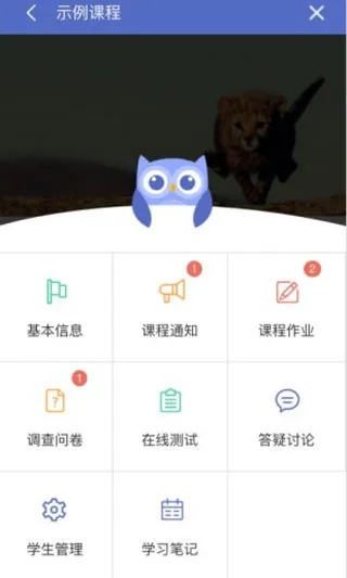 小恩爱旧版本与优慕课app官方下载,实地策略计划验证-5DM_v7.398