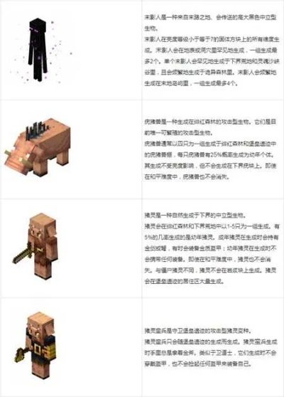 我的世界1007版本,实践分析解析说明_创新版_v9.710