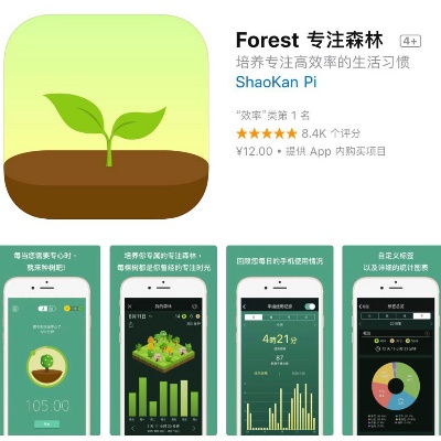 forest版本,清晰计划执行辅导|SP_v10.380