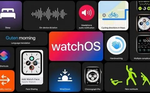 wireapp官方下载,前沿说明解析 watchOS_v7.758