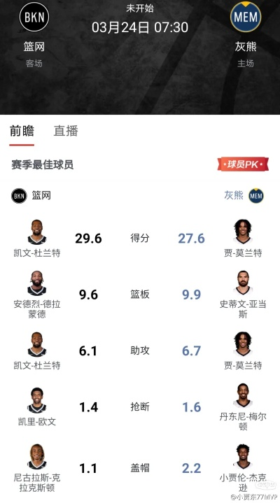 灰熊直播最新版本,精确数据解释定义_战斗版_v9.825