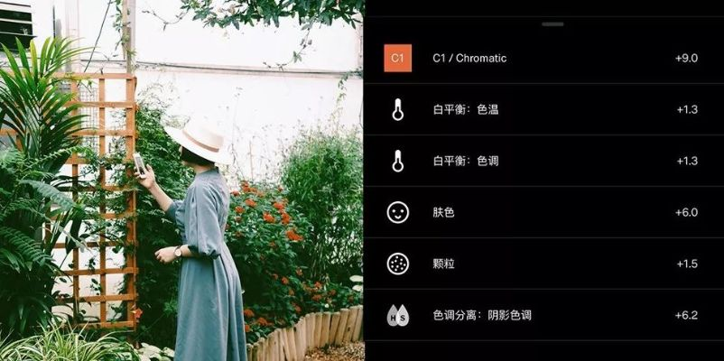 vsco官方下载苹果,深入解析数据应用&amp;复刻款_v9.290