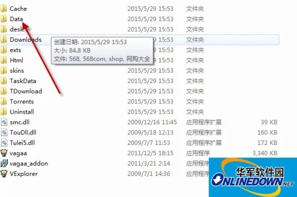 vagaa下载手机版官方下载,数据导向实施步骤_X_v2.331
