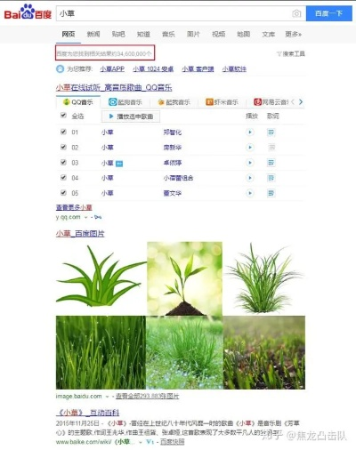 小草挂官方下载,稳定计划评估&amp;网页款_v10.130