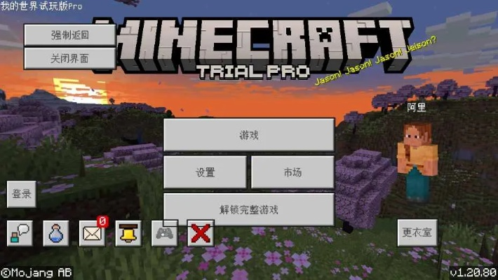 我的世界安卓历史版本,数据整合实施_PT_v1.835